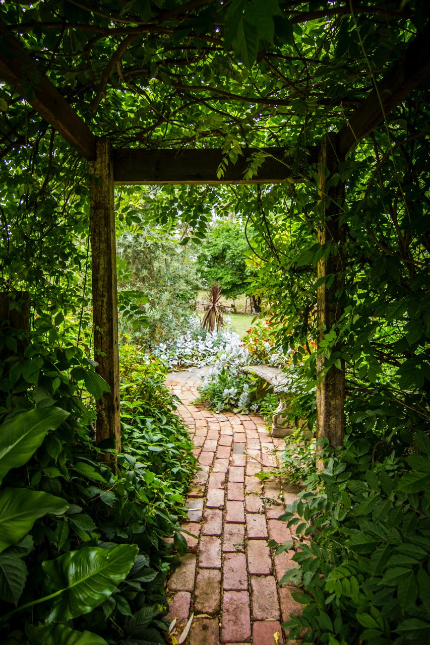 De las ruinas y tumbas nacen nuevos jardines